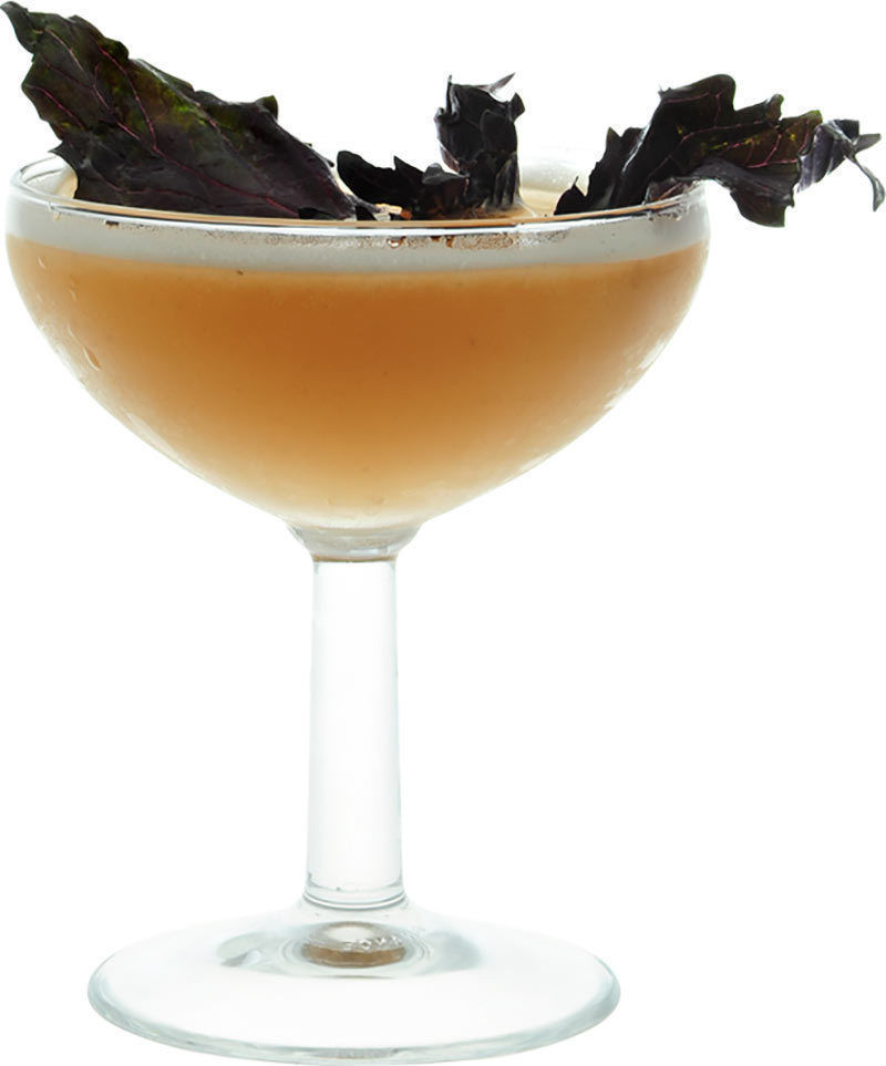 Creamy Flip, Cocktail Recipe ➦ INSHAKER